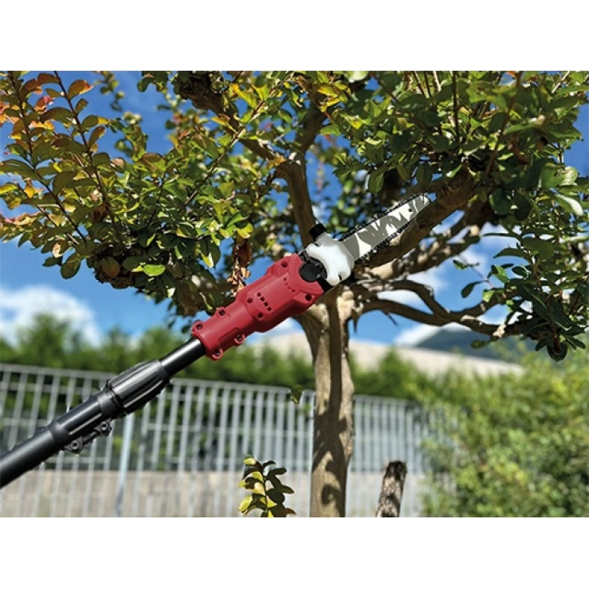 Vendita online Potatore con asta telescopica 1,8 -  2,7 mt 